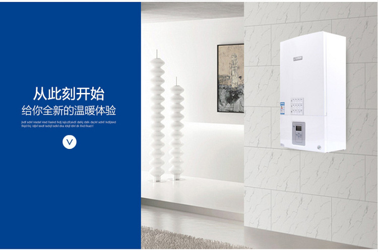 博世（BOSCH）原装进口新欧洲之星24kw采暖热水壁(图2)