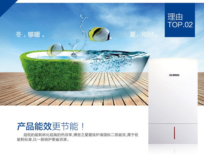 博世BOSCH壁挂炉原装进口欧洲之星24kw两用型(图12)