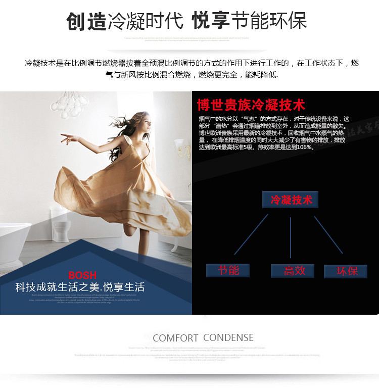 博世欧洲贵族冷凝ZWB42-3(42kw)两用壁挂炉(图16)