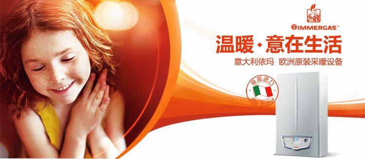 依玛宙斯ZEUS 24KW采暖热水壁挂炉带45L水箱(图2)