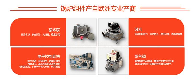 依玛宙斯ZEUS 24KW锅炉价格