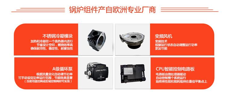 依玛壁挂炉IMMERGAS冠军艾萨 32KW冷凝壁挂炉(图12)