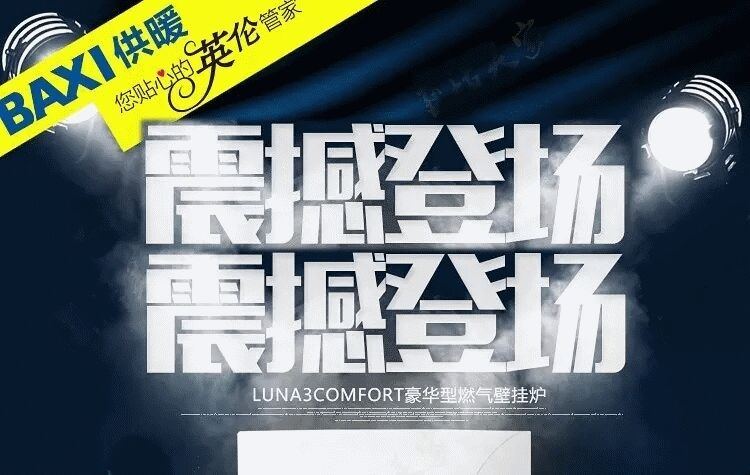 八喜LUNA3璐娜31kw采暖热水两用型壁挂炉(图2)