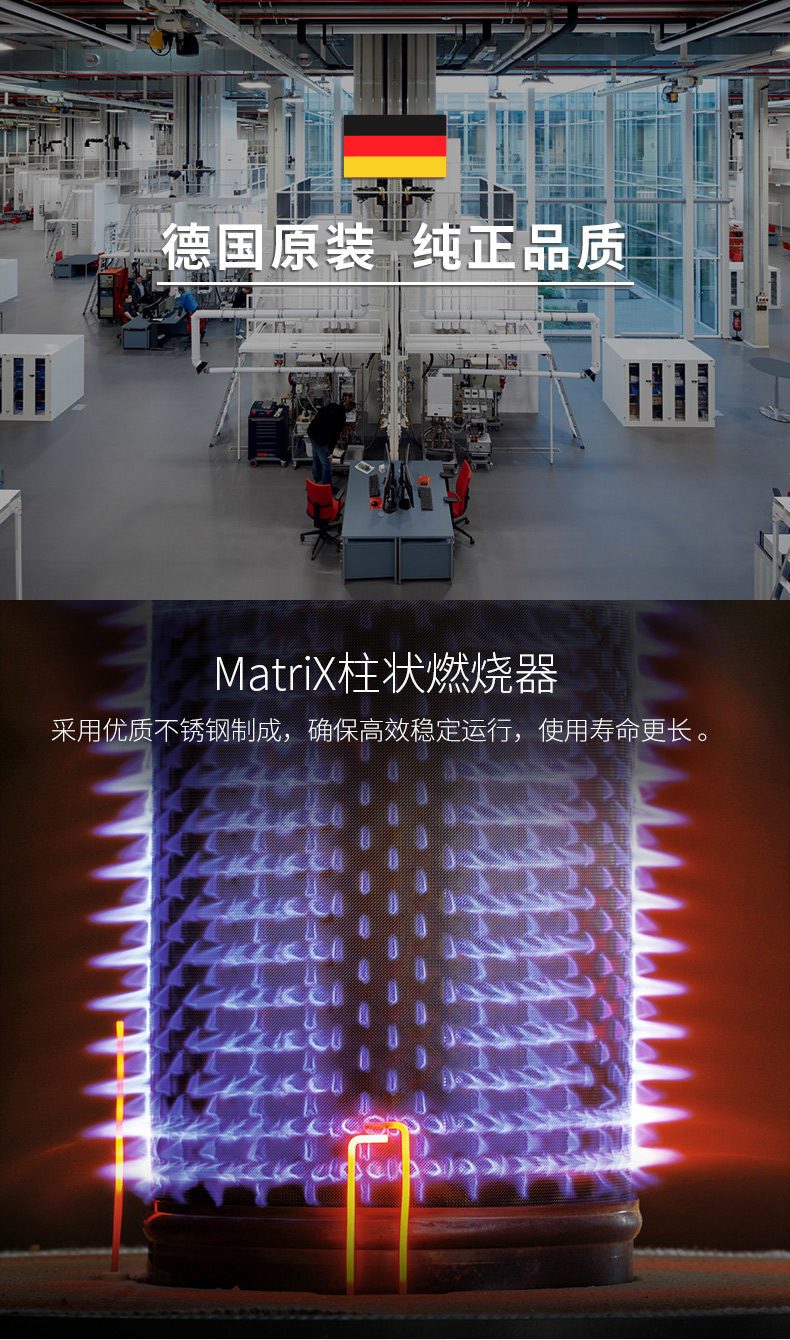 菲斯曼原装进口进口冷凝35千瓦壁挂炉特点