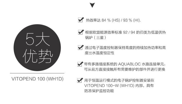 菲斯曼WH1D原装进口25kw采暖热水两用壁挂炉(图7)
