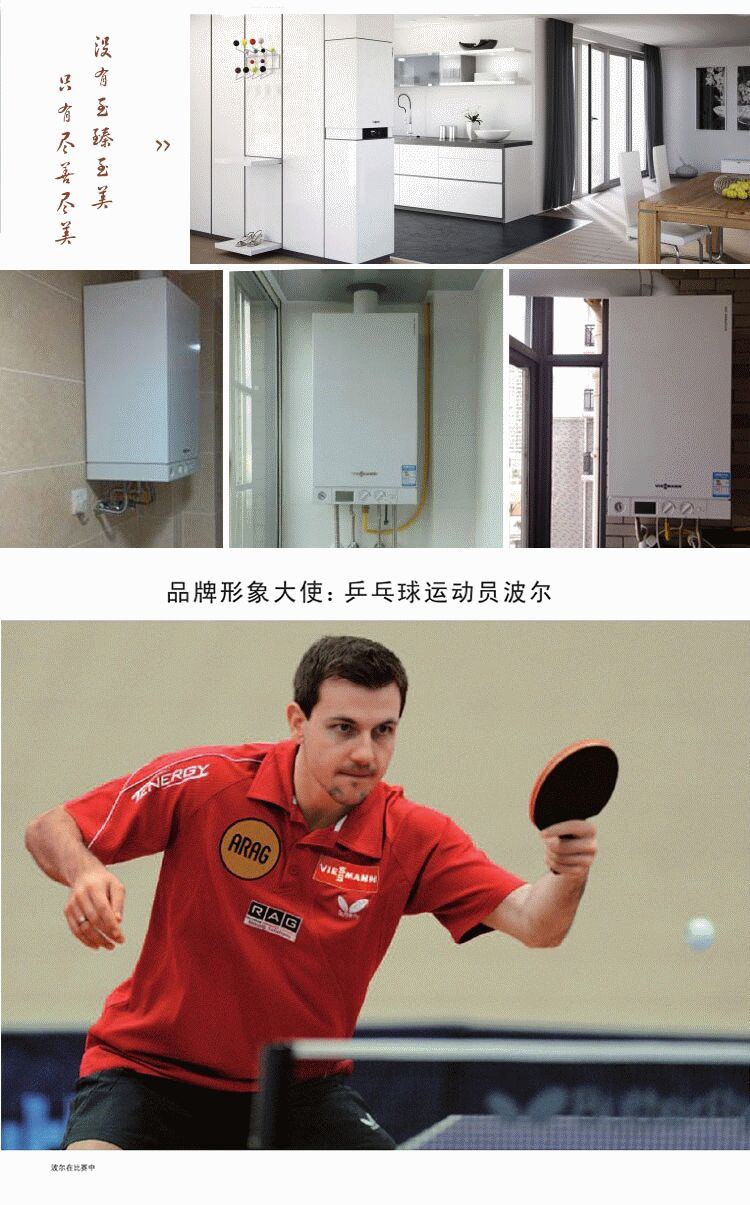 菲斯曼WH1D原装进口25kw采暖热水两用壁挂炉(图16)