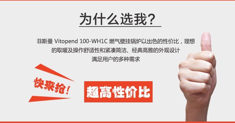 菲斯曼国内组装20kw 采暖热水壁挂炉(图11)