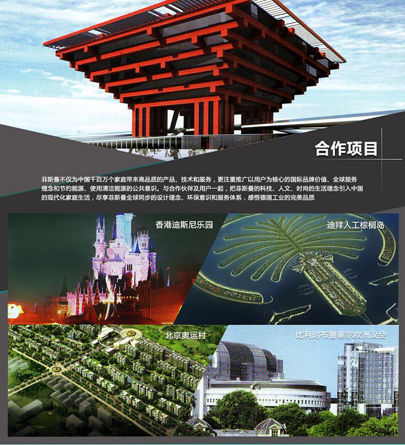 德国菲斯曼原装进口WB1C 26kw冷凝式壁挂炉(图3)