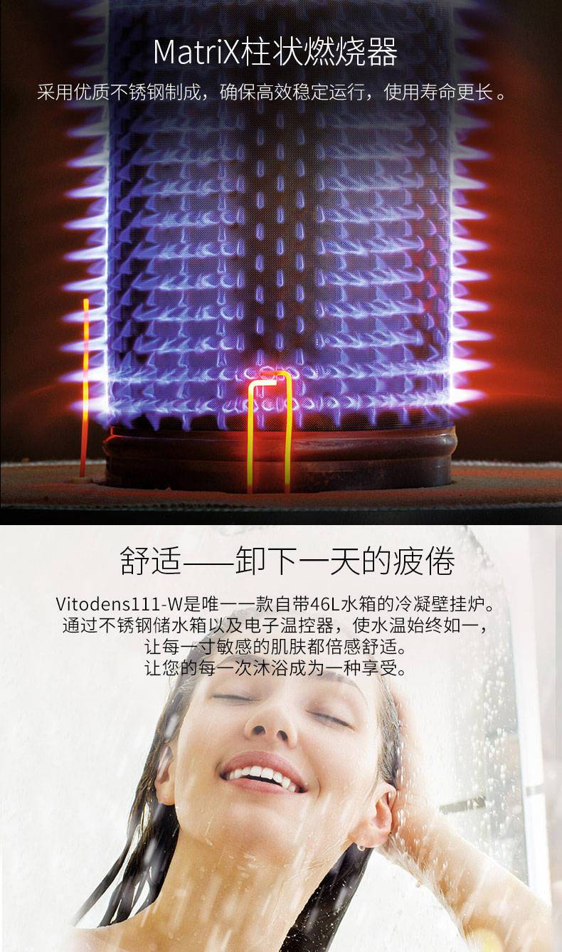 菲斯曼内置水箱进口冷凝26千瓦壁挂炉(图6)