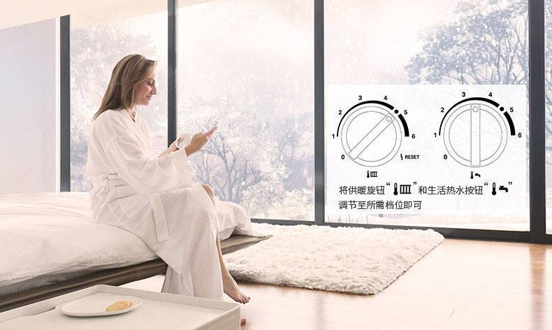 菲斯曼内置水箱进口冷凝35千瓦壁挂炉(图10)