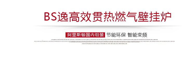 阿里斯顿壁挂炉BS逸系列18千瓦采暖热水两用锅炉(图9)