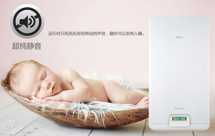 贝雷塔尊者原装进口30kw采暖热水两用壁挂炉(图9)