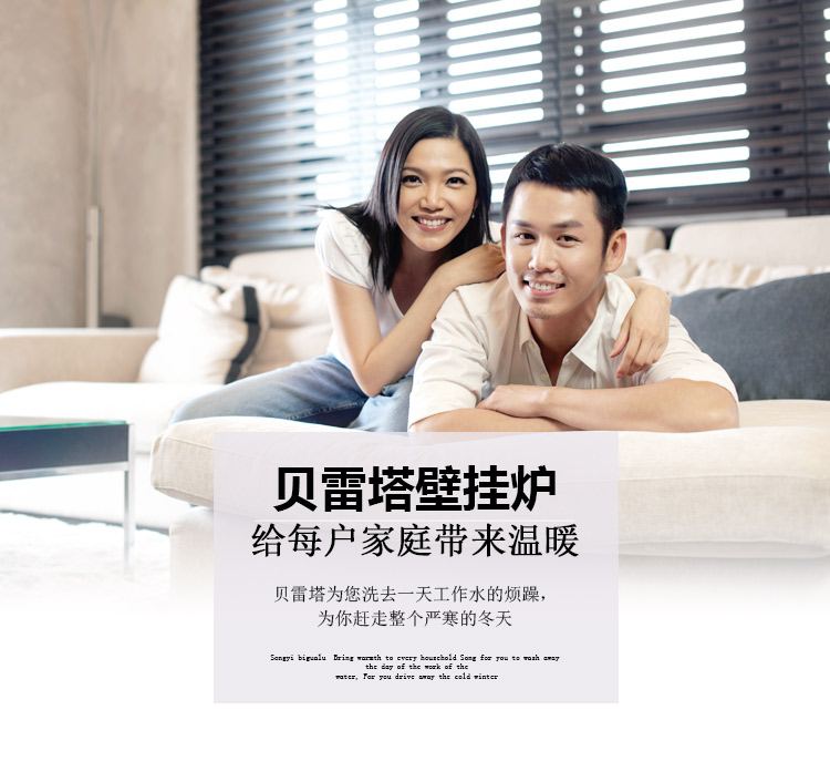 贝雷塔原装进口金俏20kw采暖热水两用壁挂炉(图4)