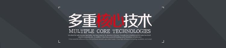 意特尔曼壁挂炉时间35kw采暖热水两用壁挂炉(图13)